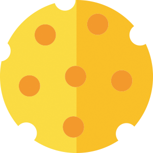 Cheese Vector Icon