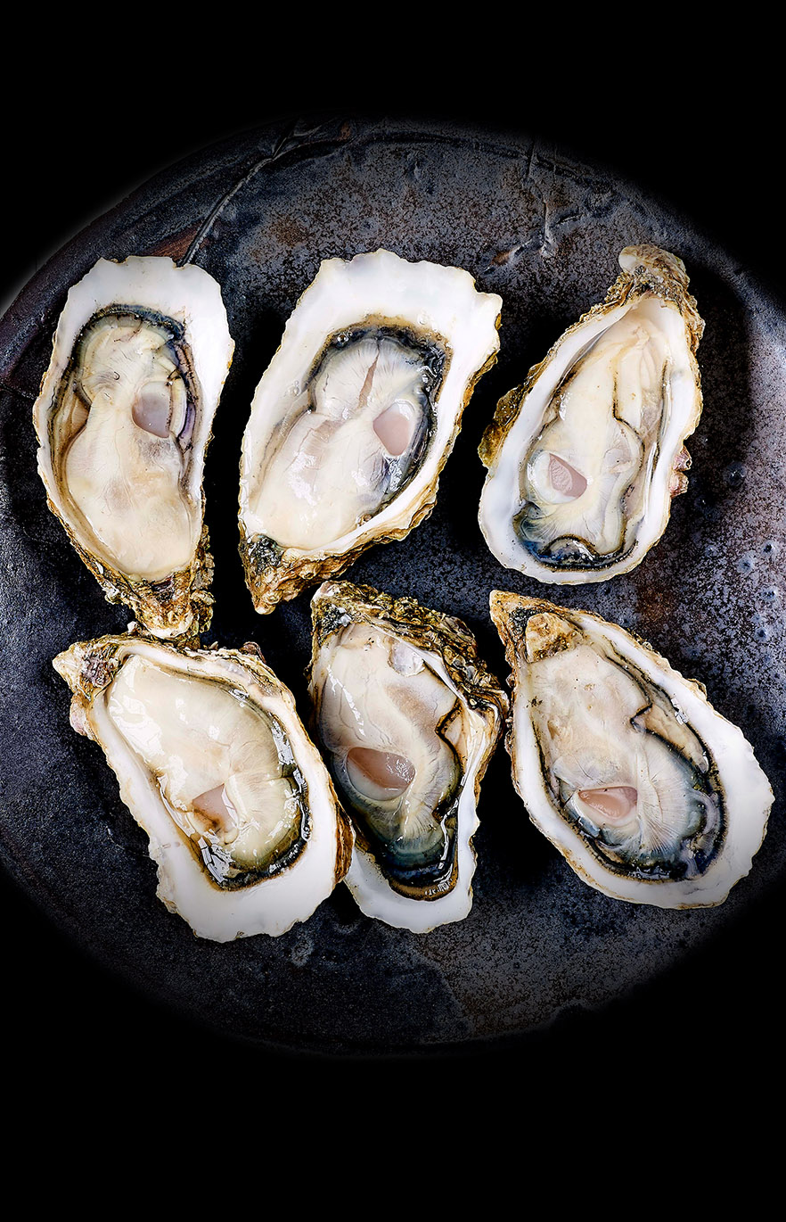 Half Shell Oysters